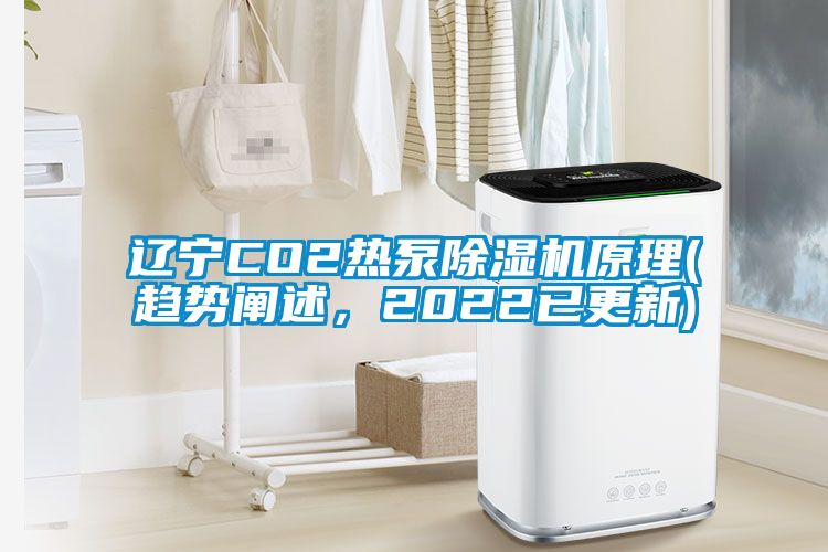 遼寧CO2熱泵除濕機(jī)原理(趨勢(shì)闡述，2022已更新)