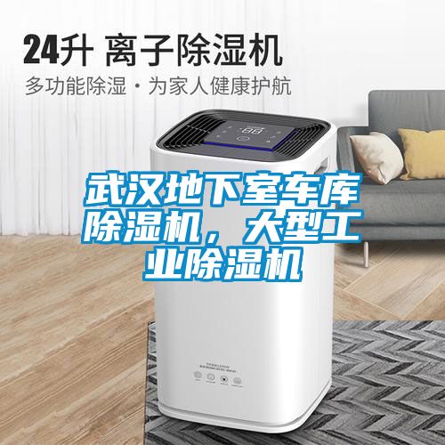 武漢地下室車庫除濕機，大型工業(yè)除濕機