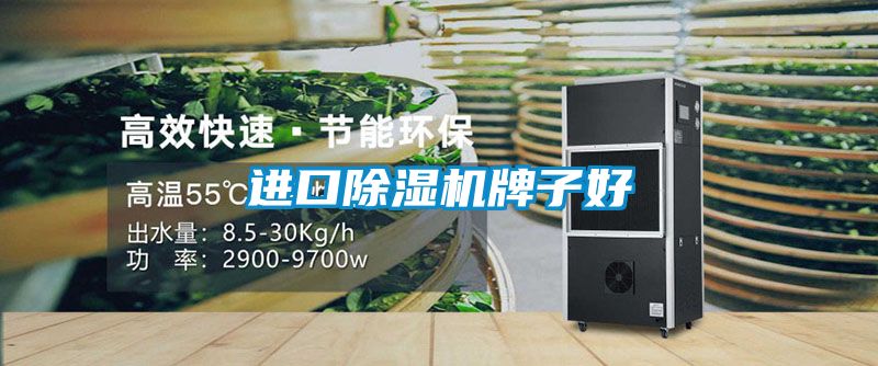 進(jìn)口除濕機牌子好