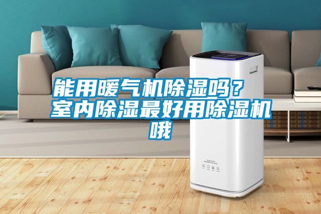 能用暖氣機除濕嗎？ 室內除濕最好用除濕機哦