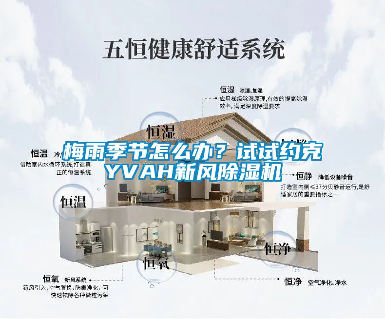 梅雨季節(jié)怎么辦？試試約克YVAH新風(fēng)除濕機