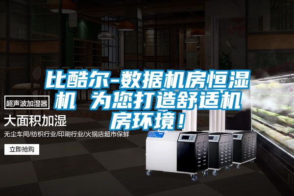 比酷爾-數(shù)據(jù)機(jī)房恒濕機(jī) 為您打造舒適機(jī)房環(huán)境！