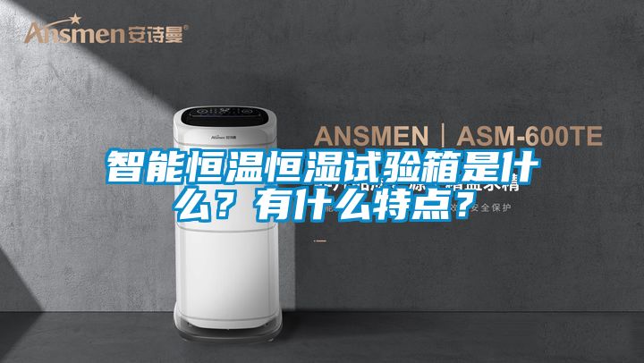 智能恒溫恒濕試驗(yàn)箱是什么？有什么特點(diǎn)？