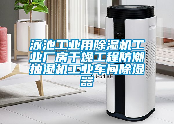 泳池工業(yè)用除濕機(jī)工業(yè)廠房干燥工程防潮抽濕機(jī)工業(yè)車(chē)間除濕器