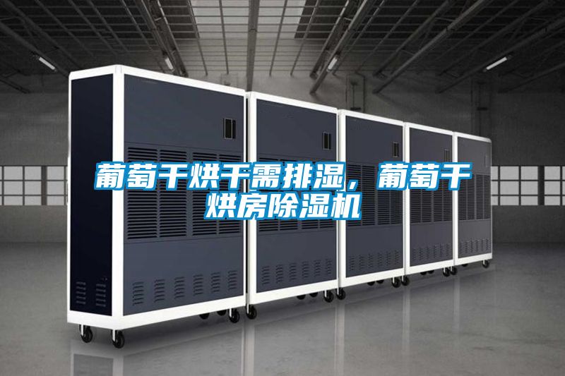 葡萄干烘干需排濕，葡萄干烘房除濕機