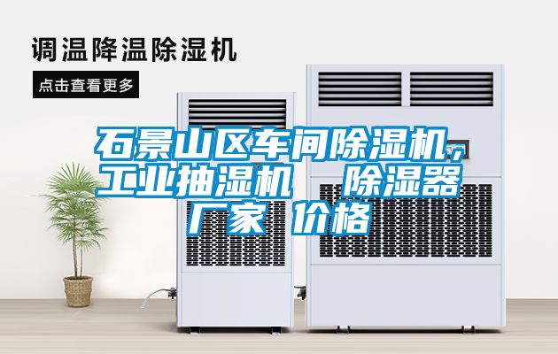 石景山區(qū)車間除濕機，工業(yè)抽濕機  除濕器廠家 價格