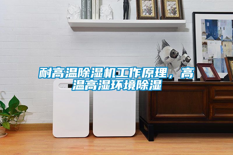 耐高溫除濕機(jī)工作原理，高溫高濕環(huán)境除濕