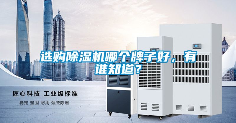 選購除濕機(jī)哪個牌子好，有誰知道？