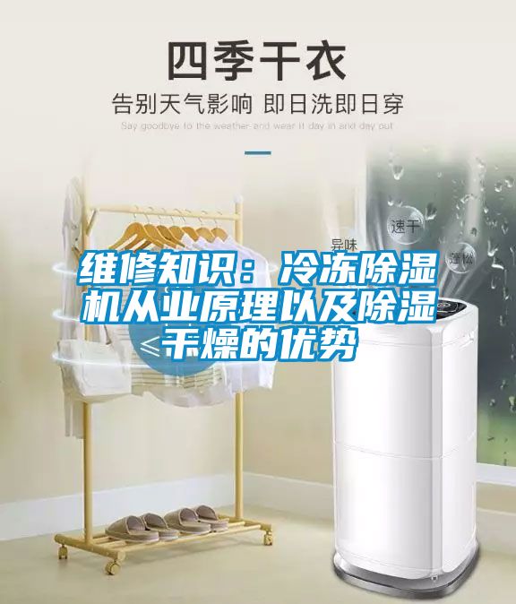 維修知識(shí)：冷凍除濕機(jī)從業(yè)原理以及除濕干燥的優(yōu)勢