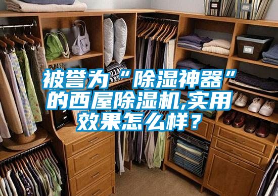 被譽為“除濕神器”的西屋除濕機(jī),實用效果怎么樣？