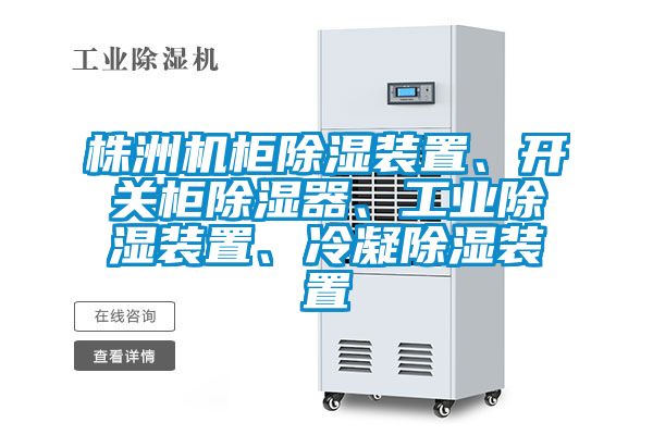 株洲機(jī)柜除濕裝置、開關(guān)柜除濕器、工業(yè)除濕裝置、冷凝除濕裝置
