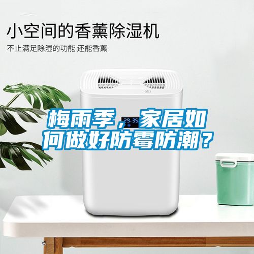 梅雨季，家居如何做好防霉防潮？