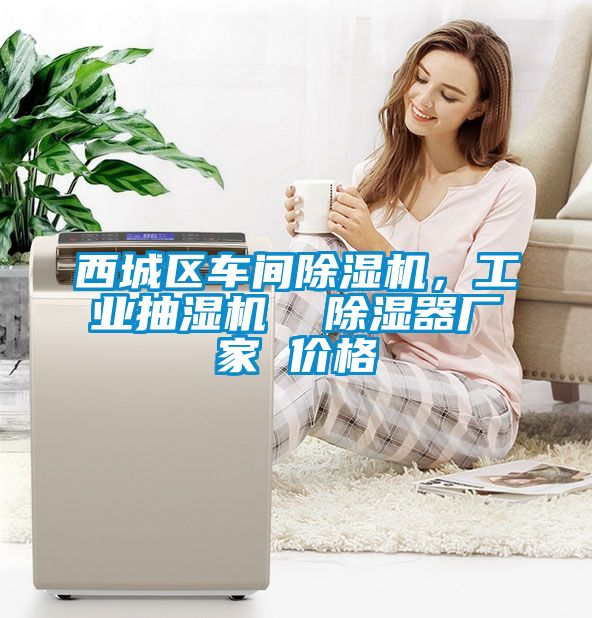 西城區(qū)車間除濕機，工業(yè)抽濕機  除濕器廠家 價格
