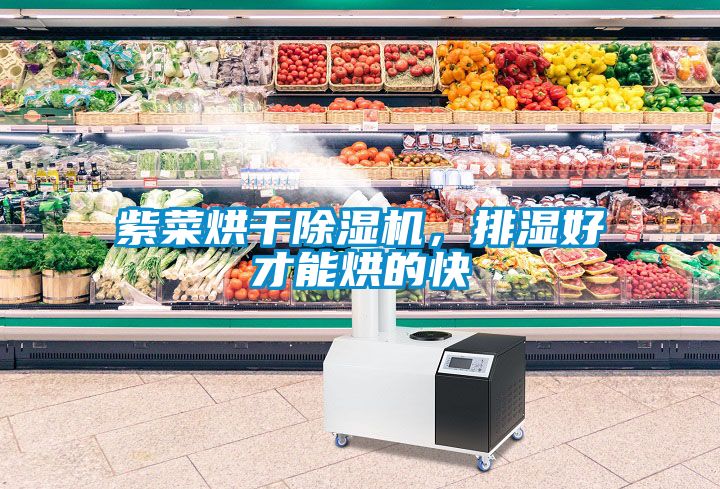 紫菜烘干除濕機，排濕好才能烘的快