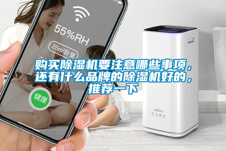 購(gòu)買除濕機(jī)要注意哪些事項(xiàng)，還有什么品牌的除濕機(jī)好的，推薦一下