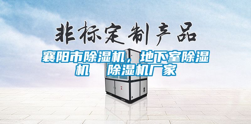 襄陽市除濕機(jī)，地下室除濕機(jī)  除濕機(jī)廠家