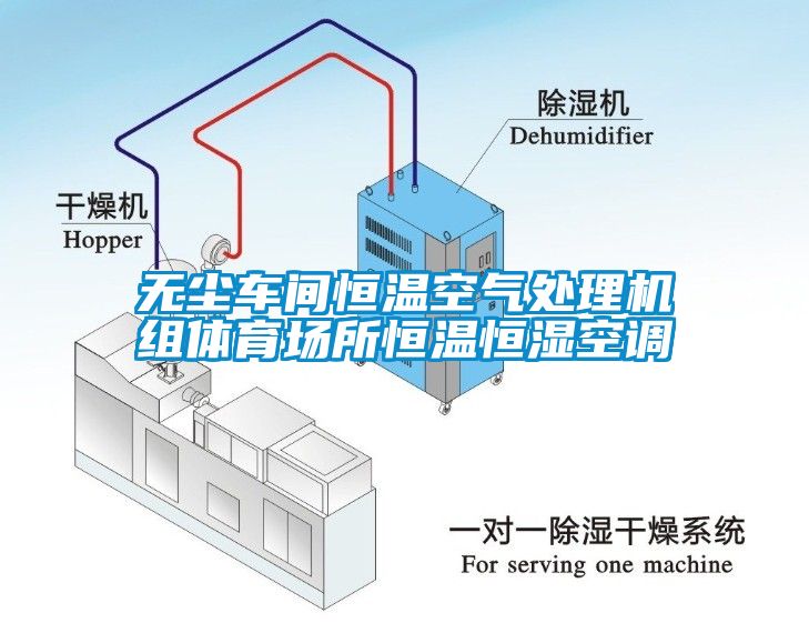 無塵車間恒溫空氣處理機(jī)組體育場所恒溫恒濕空調(diào)