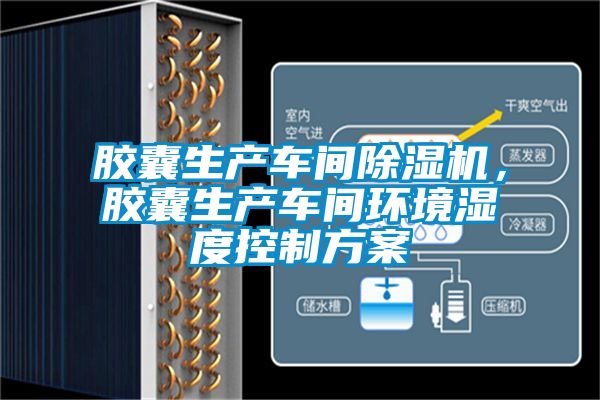 膠囊生產(chǎn)車間除濕機(jī)，膠囊生產(chǎn)車間環(huán)境濕度控制方案
