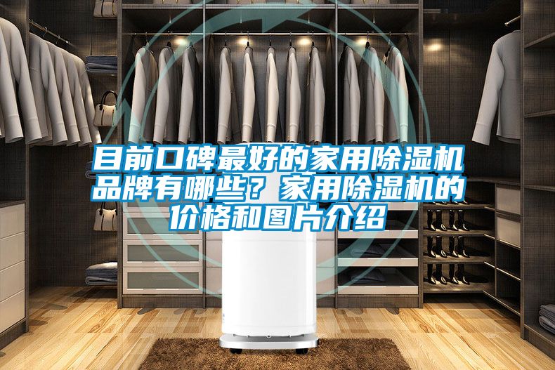 目前口碑最好的家用除濕機品牌有哪些？家用除濕機的價格和圖片介紹