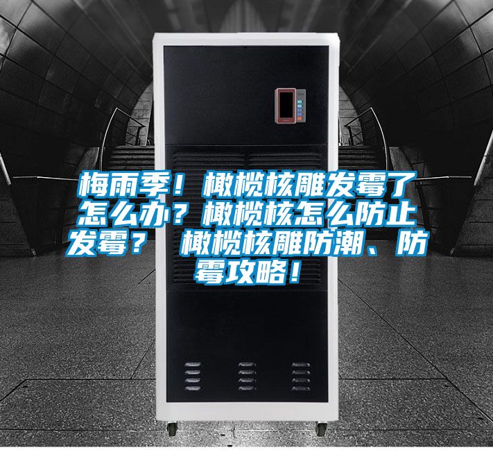 梅雨季！橄欖核雕發(fā)霉了怎么辦？橄欖核怎么防止發(fā)霉？ 橄欖核雕防潮、防霉攻略！