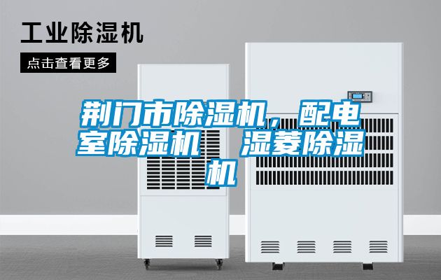 荊門(mén)市除濕機(jī)，配電室除濕機(jī)  濕菱除濕機(jī)