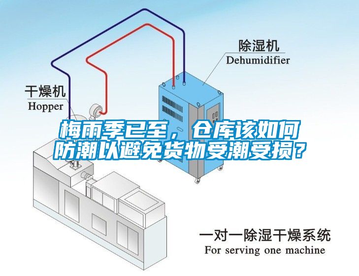 梅雨季已至，倉庫該如何防潮以避免貨物受潮受損？
