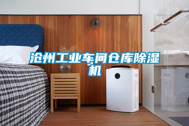 滄州工業(yè)車間倉庫除濕機(jī)