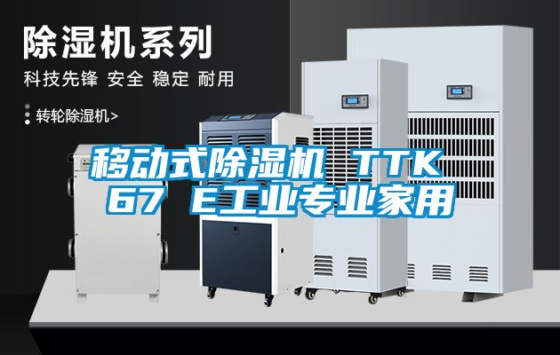 移動(dòng)式除濕機(jī) TTK 67 E工業(yè)專(zhuān)業(yè)家用