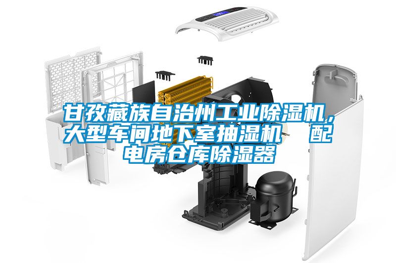甘孜藏族自治州工業(yè)除濕機，大型車間地下室抽濕機  配電房倉庫除濕器