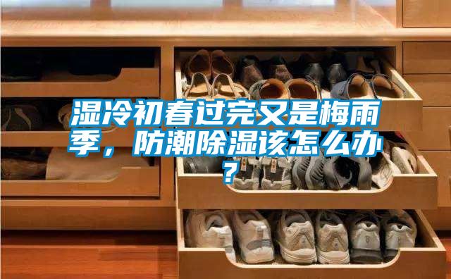 濕冷初春過完又是梅雨季，防潮除濕該怎么辦？
