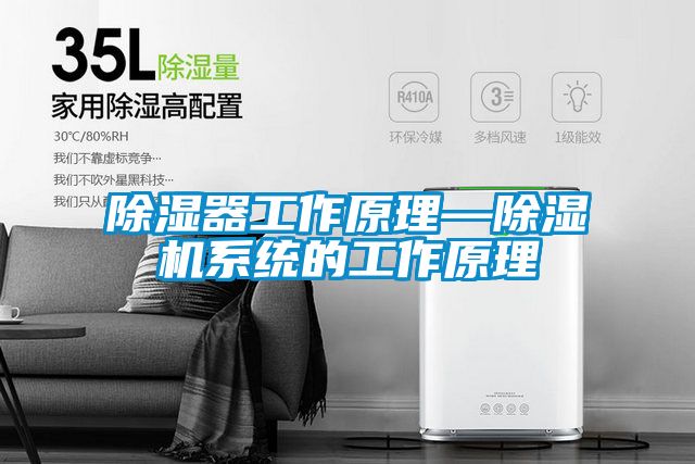 除濕器工作原理—除濕機系統(tǒng)的工作原理