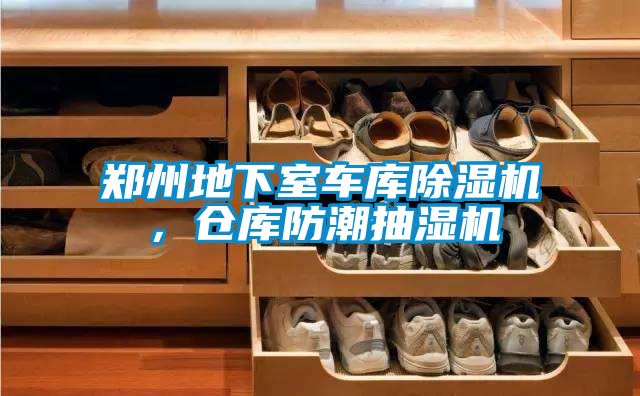 鄭州地下室車庫除濕機(jī)，倉庫防潮抽濕機(jī)