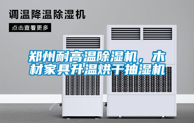鄭州耐高溫除濕機，木材家具升溫烘干抽濕機