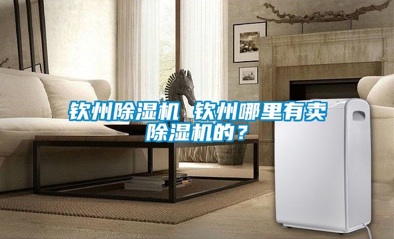 欽州除濕機(jī) 欽州哪里有賣除濕機(jī)的？