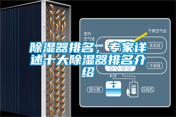 除濕器排名，專家詳述十大除濕器排名介紹