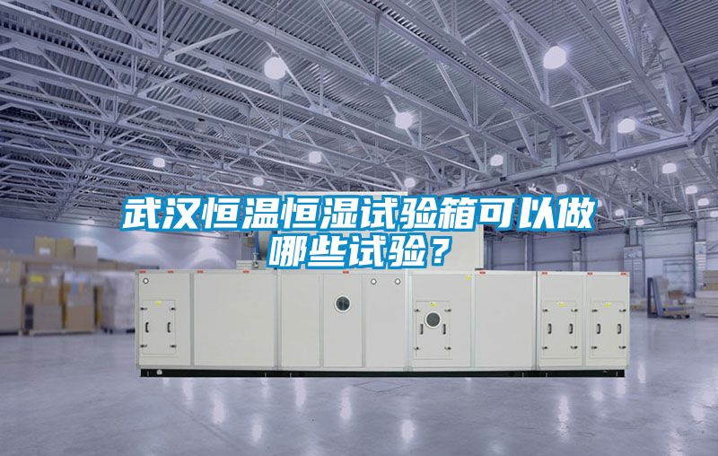 武漢恒溫恒濕試驗(yàn)箱可以做哪些試驗(yàn)？