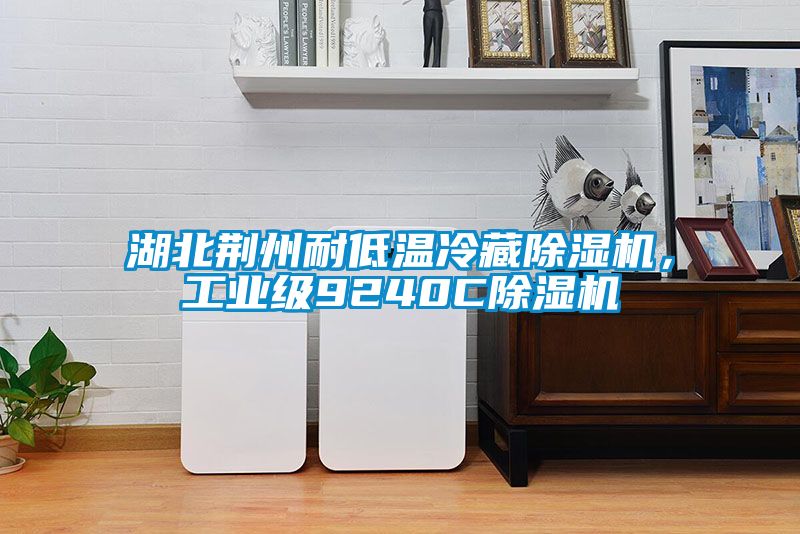湖北荊州耐低溫冷藏除濕機(jī)，工業(yè)級9240C除濕機(jī)