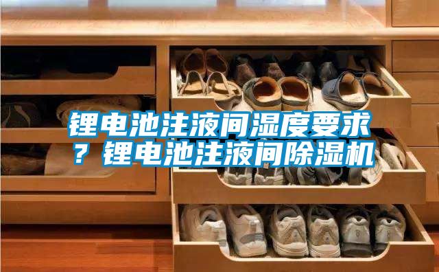 鋰電池注液間濕度要求？鋰電池注液間除濕機