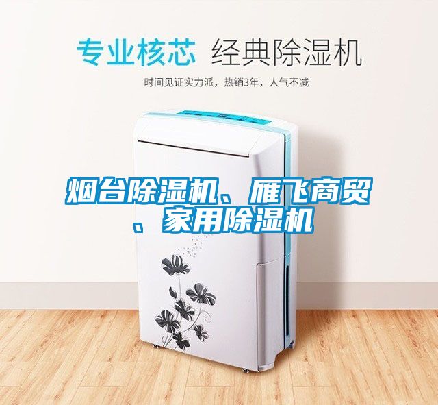 煙臺除濕機(jī)、雁飛商貿(mào)、家用除濕機(jī)