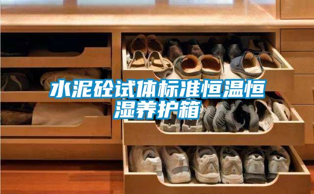 水泥砼試體標(biāo)準(zhǔn)恒溫恒濕養(yǎng)護箱