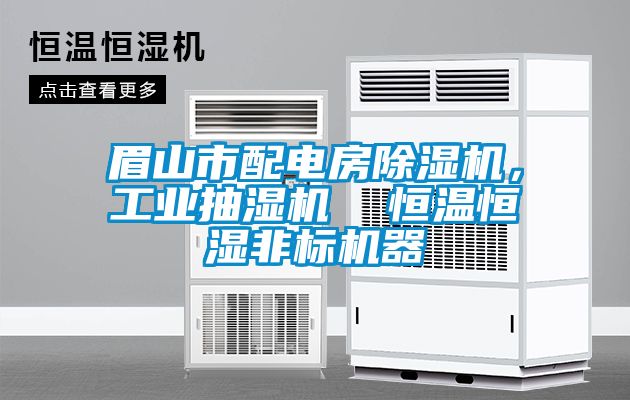 眉山市配電房除濕機(jī)，工業(yè)抽濕機(jī)  恒溫恒濕非標(biāo)機(jī)器