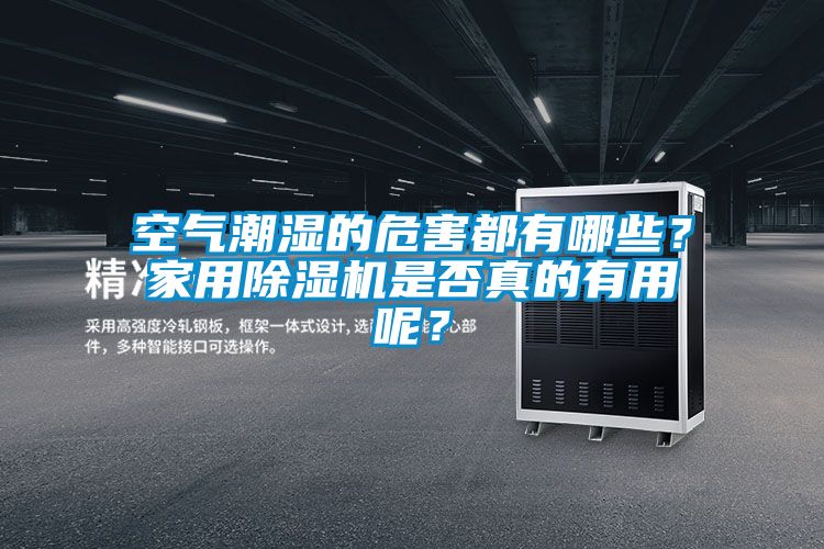 空氣潮濕的危害都有哪些？家用除濕機是否真的有用呢？