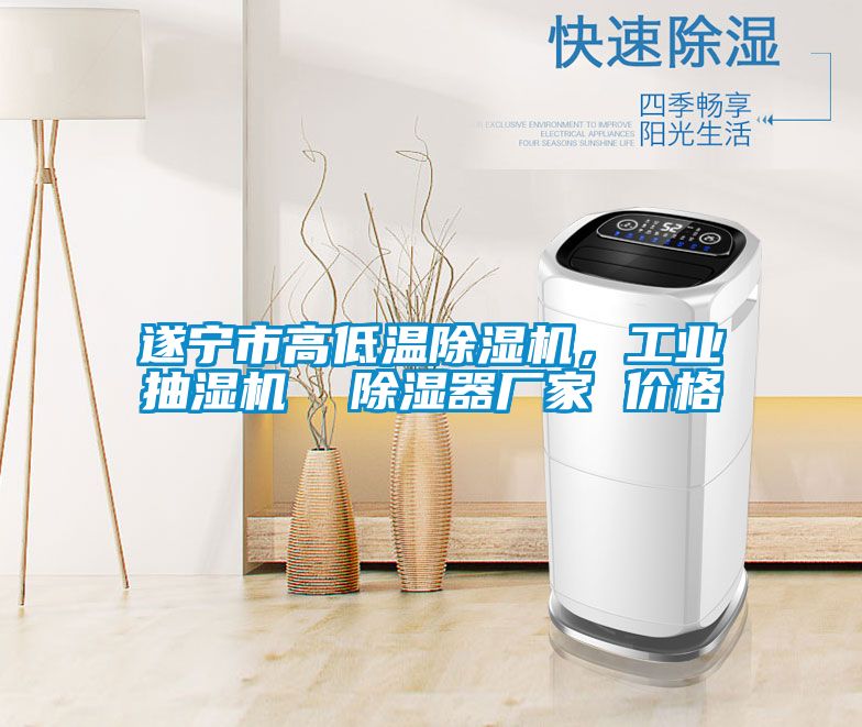遂寧市高低溫除濕機，工業(yè)抽濕機  除濕器廠家 價格