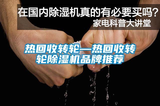 熱回收轉輪—熱回收轉輪除濕機品牌推薦