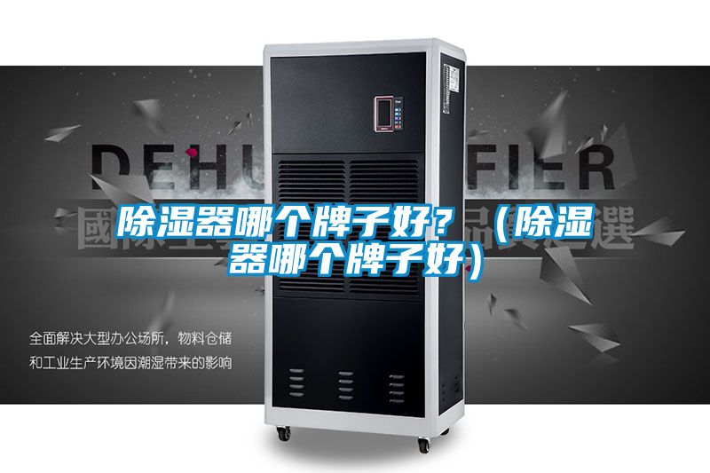 除濕器哪個牌子好？（除濕器哪個牌子好）