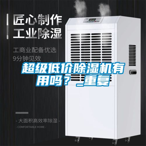 超級(jí)低價(jià)除濕機(jī)有用嗎？_重復(fù)