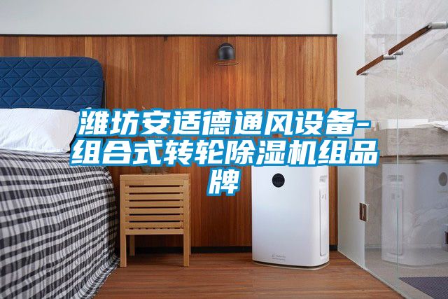 濰坊安適德通風設(shè)備-組合式轉(zhuǎn)輪除濕機組品牌