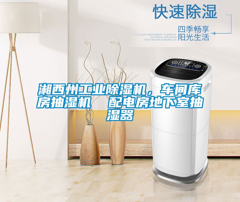 湘西州工業(yè)除濕機，車間庫房抽濕機  配電房地下室抽濕器