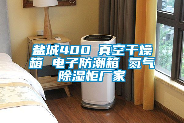 鹽城400℃真空干燥箱 電子防潮箱 氮?dú)獬凉窆駨S家