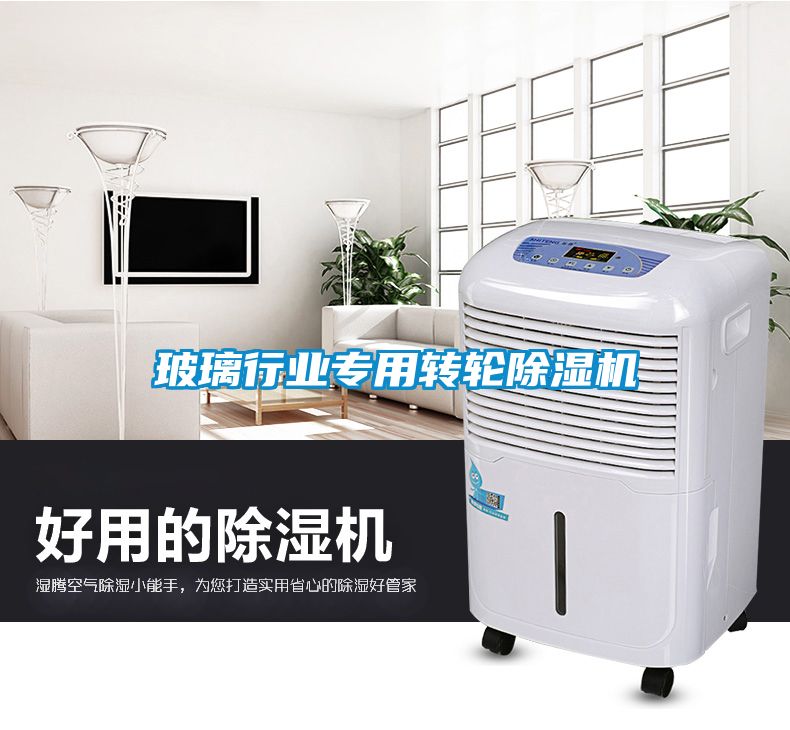 玻璃行業(yè)專用轉(zhuǎn)輪除濕機(jī)